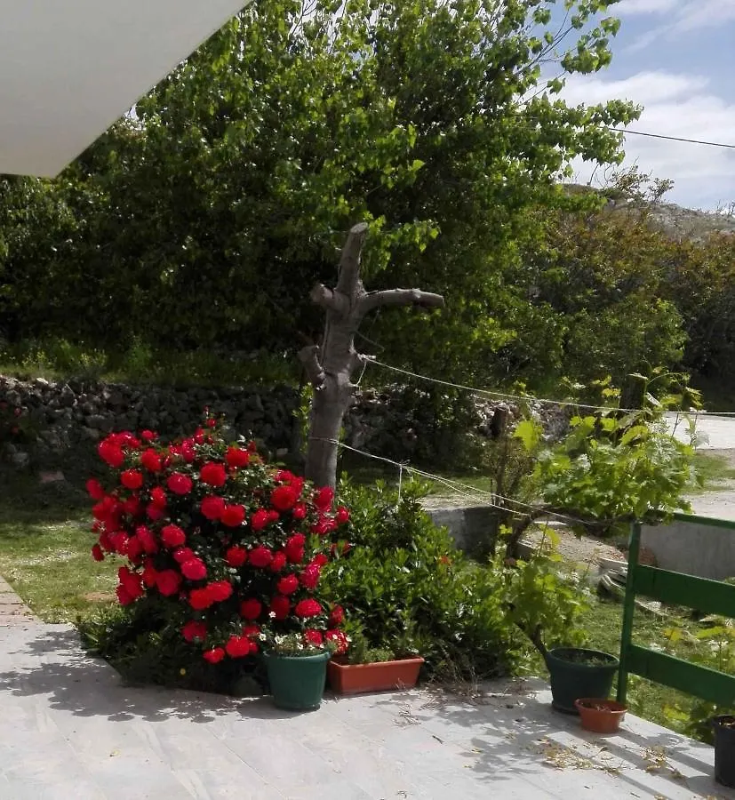 Apartments In Razanac 35305 Rtina Croatia